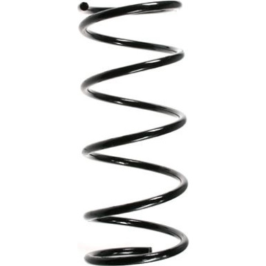 SPIDAN Fahrwerksfeder 49217