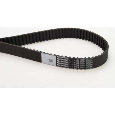 Zahnriemen | CT1134