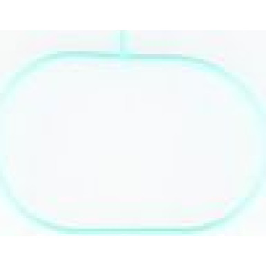 450149H Dichtung, Ansaugkrümmer