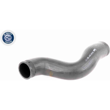 VAICO Ladeluftschlauch V10-2910