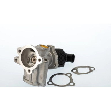 BorgWarner (Wahler) AGR-Ventil | 710773D/1