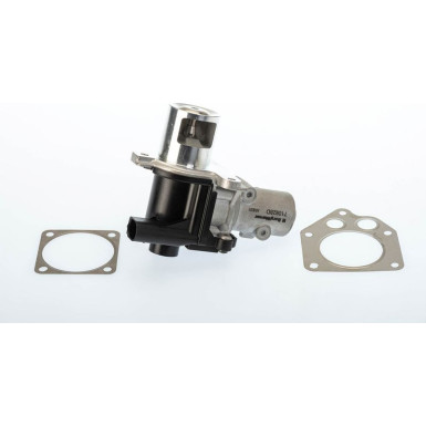 BorgWarner (Wahler) AGR-Ventil BorgWarner (Wahler) AGR-Ventil