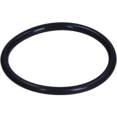 Original VAG Einstelldichtung Audi A4 08 | N91020001