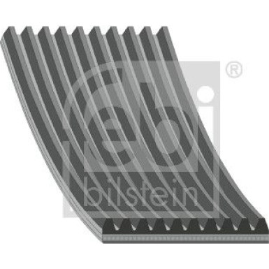 FEBI BILSTEIN Rillenriemen | 45237