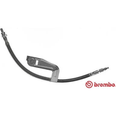BREMBO Bremsschlauch | T 24 095