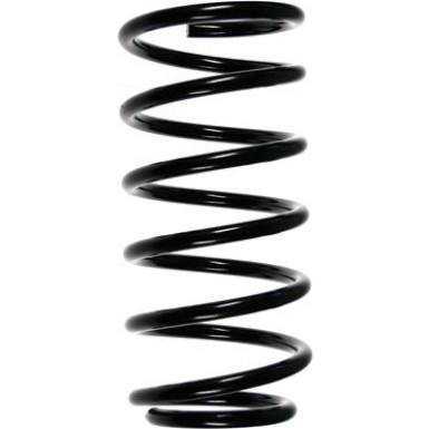 SPIDAN Fahrwerksfeder | 48499