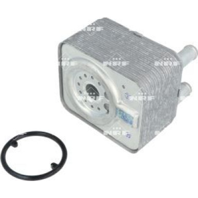 Ölkühler, Motor“L | 31168