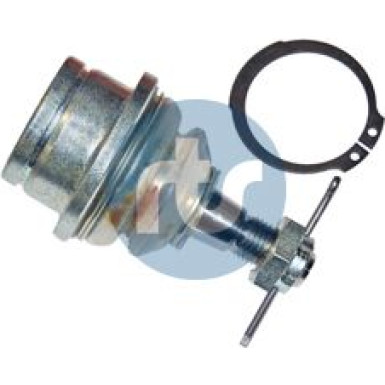 RTS Schulterklopfen RTS Schulterklopfen