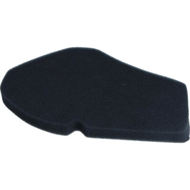 Motorluftfilter. Suzuki Burgman 125û150 Cc 2002/2006 | 10 060 1231