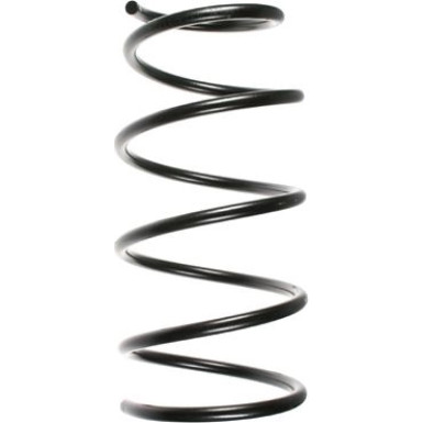 SPIDAN Fahrwerksfeder 49297 SPIDAN Fahrwerksfeder 49297