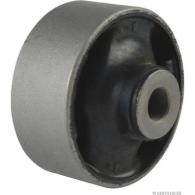 J4204106 Lagerung, Lenker