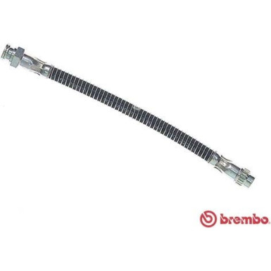 BREMBO Bremsschlauch | T 61 053