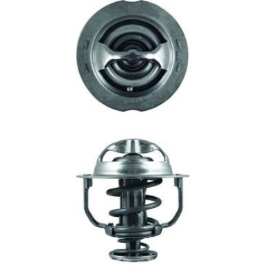 Thermostateinsatz mit Dichtung | VW Beetle/Jetta 10 | TX 200 90D