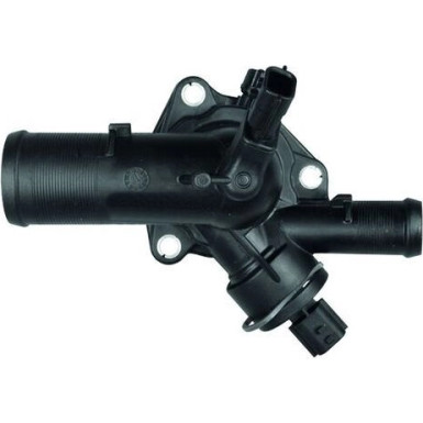 Kennfeldthermostat | RENAULT | TM 39 108