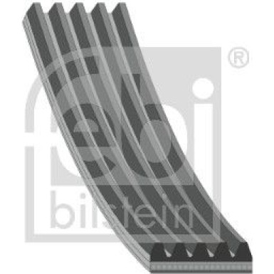 FEBI BILSTEIN Rillenriemen | 28884