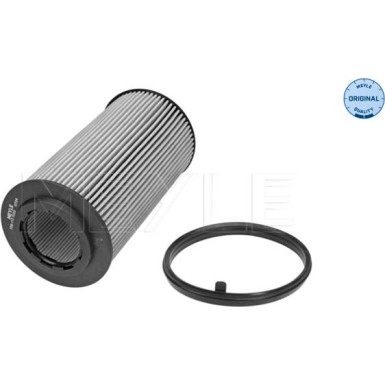 Ölfilter Vw 2.0Fsi | 100 115 0016