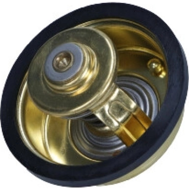 Thermostat, Kühlmittel | 352317101360
