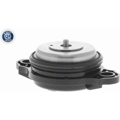 VAICO Zentralmagnet, Nockenwellenverstellung VAICO Zentralmagnet, Nockenwellenverstellung