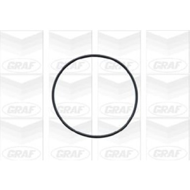 PA 577 Wasserpumpe | OPEL Astra,Vectra 2.0 92 | PA577