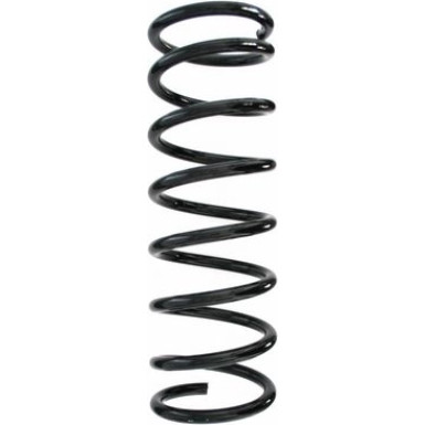 SPIDAN Fahrwerksfeder