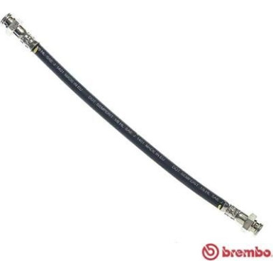 BREMBO Bremsschlauch | T 61 044