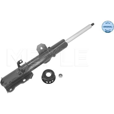 Stoßdämpfer | 266230031