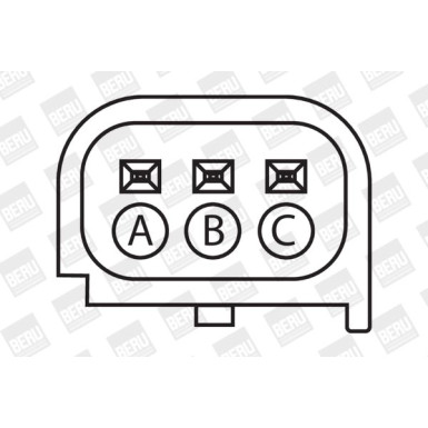 BorgWarner (BERU) Zündspule BorgWarner (BERU) Zündspule