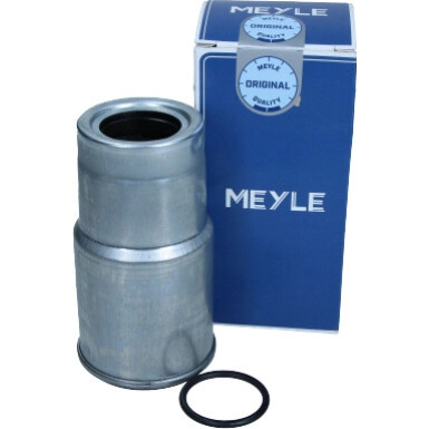 Kraftstofffilter Mazda/Toyota 6 MEYLE-ORIGINAL: True to OE 30-14 323 0023