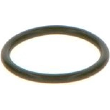 O-Ring | Diverse | F 00V C38 048