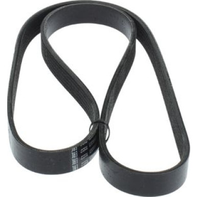 1 987 946 888 Keilrippenriemen