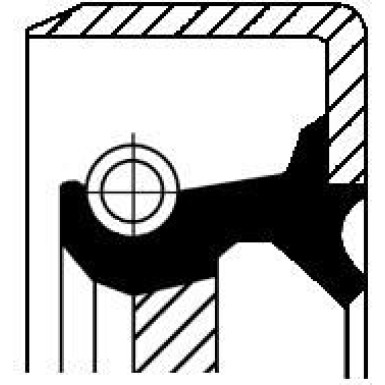 12011451B Wellendichtring, Differential