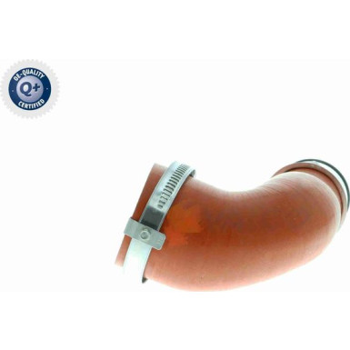 VAICO Ladeluftschlauch V10-2870