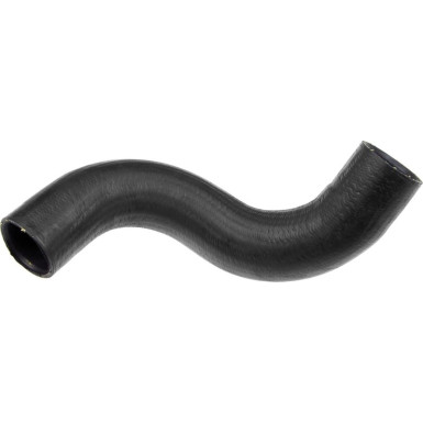 RAPRO Ladeluftschlauch R41129