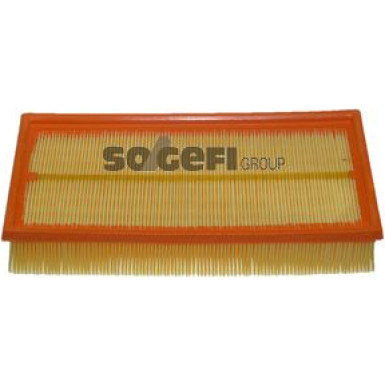 FRAM Luftfilter CA9497