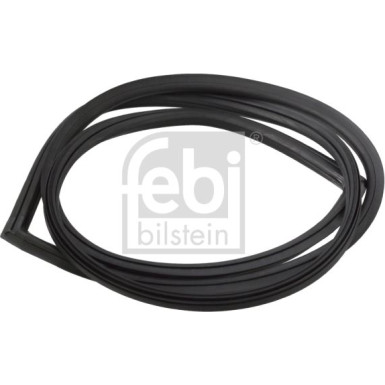 FEBI BILSTEIN Dichtung, Heckscheibe | 08871