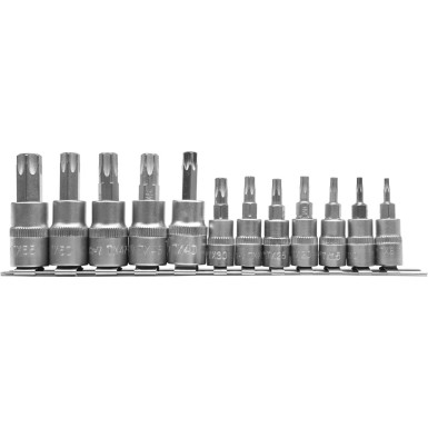 YT-04331 Biteinsatz Satz 12 Tlg Torx T8- T55 YT-04331 Biteinsatz Satz 12 Tlg Torx T8- T55