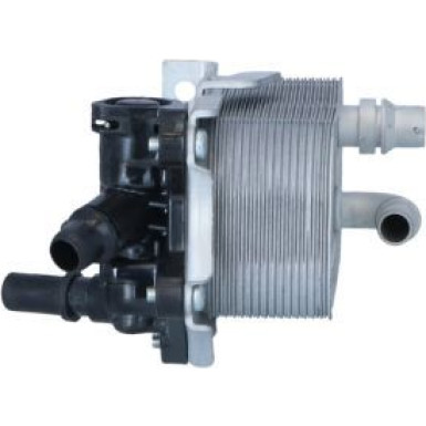 Ölkühler, Motor“L | 31857