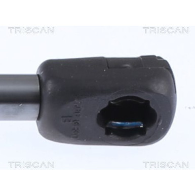 GASFEDER, KOFFER-/LADERAUM | 871015257