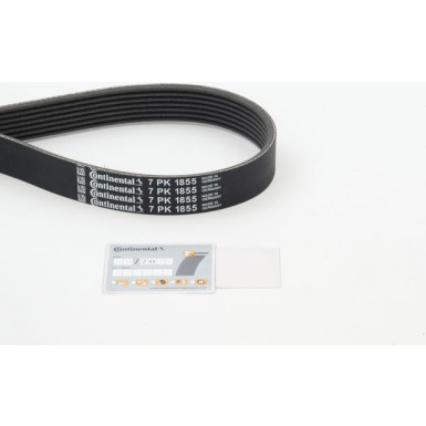 CONTINENTAL CTAM Keilrippenriemen 7PK1855 CONTINENTAL CTAM Keilrippenriemen 7PK1855