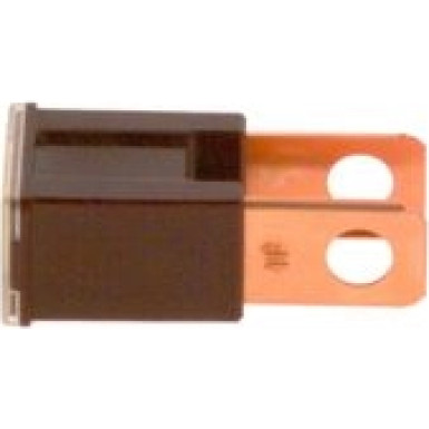 1 987 529 076 Sicherung