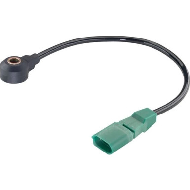 S107583008Z Klopfsensor | SEAT,SKODA,VW
