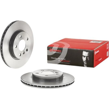 17 481 069 Bremsscheibe VA BMW i3 13 PRIME LINE - UV Coated 09.D208.11