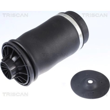 8720 23204 Luftfeder, Fahrwerk