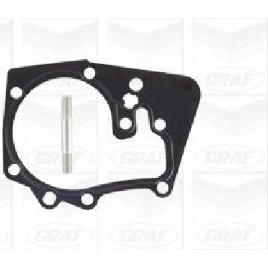 PA 1043 Wasserpumpe | DACIA Duster,RENA Clio 01 | PA1043