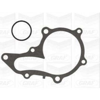 GRAF Wasserpumpe PA1005