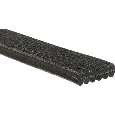 Micro V Riemen | LAND ROVER Discovery 11 | 6DPK2184