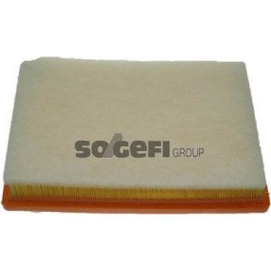 FRAM Luftfilter CA10294