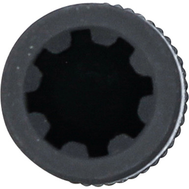 BGS Spezial-Steckschlüssel-Einsatz | für Turboladergehäuse | für Opel, Nissan, Renault | 70949 BGS Spezial-Steckschlüssel-Einsatz | für Turboladergehäuse | für Opel, Nissan, Renault | 70949