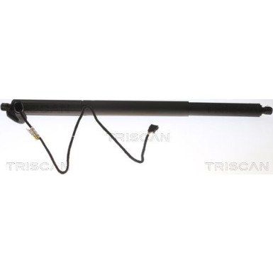 GASFEDER, KOFFER-/LADERAUM | 871011305