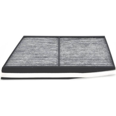 Aktivkohlefilter | RENAULT Scenic | 1987432525